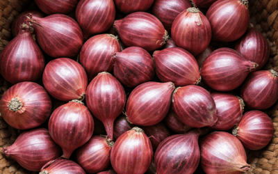 சின்ன வெங்காயம் நன்மைகள்