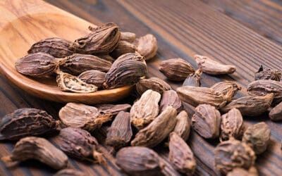 Different Types of Cardamom