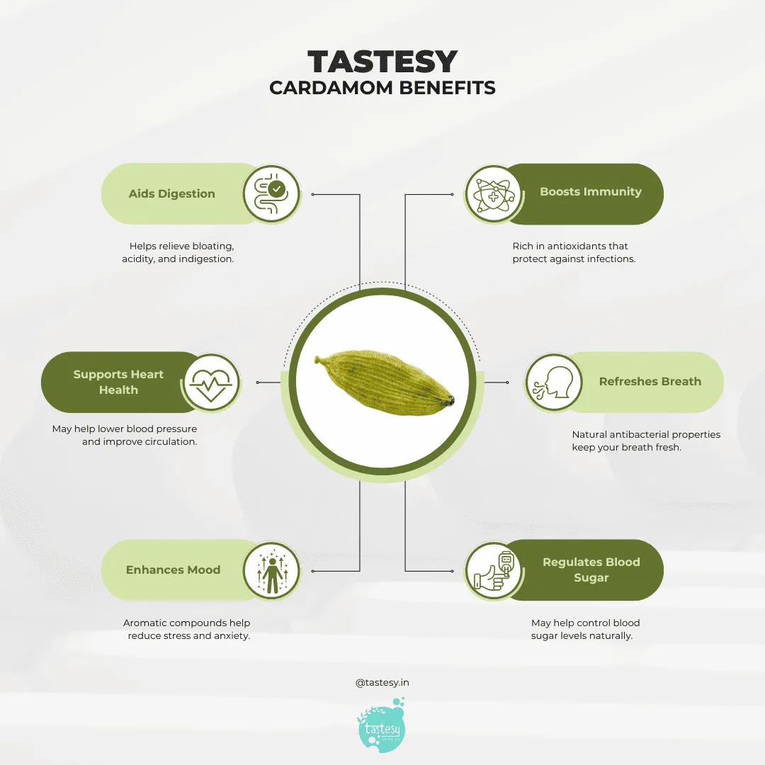 Premium Idukki Green Cardamom | 6mm-8mm Bold Pods | 100gm - Image 4