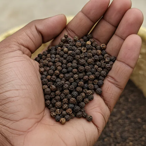 Premium Idukki Black Pepper | Whole Bold Peppercorns | 250gm