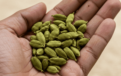 Health Benefits of Cardamom