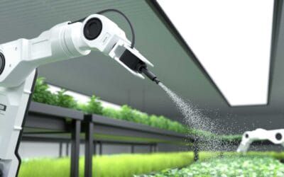 AI and Spice Farming: Tech in Cardamom Cultivation