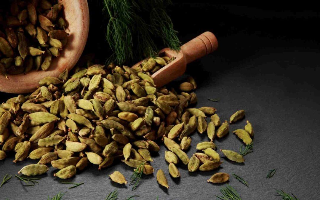 Can Cardamom Be the Next Superfood in Nutraceuticals?