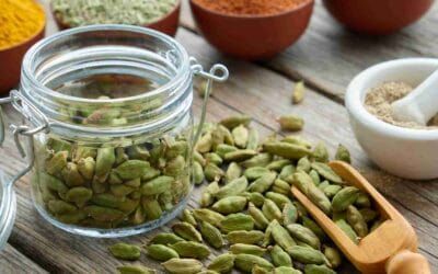 Why Cardamom Farming Is Facing a Crisis & How It Can Be Saved?