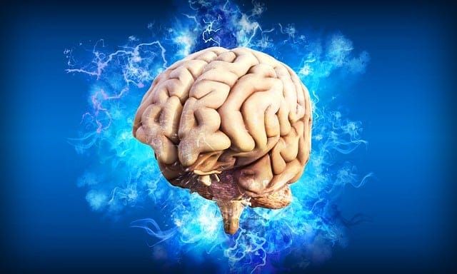 wonders of cardamom in neuroscience