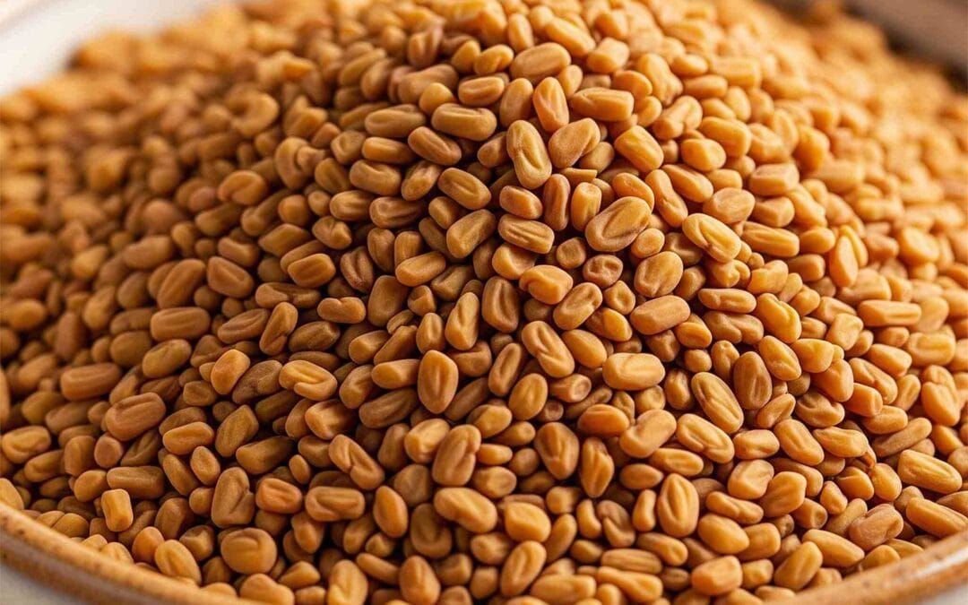 வெந்தயம்- சுவைக்கும் நலனுக்கும்