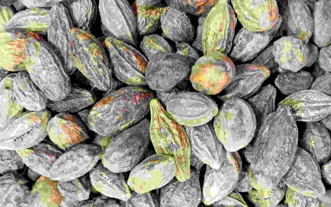 Inknut in Indian Pickles: A Secret Ingredient that is Hidden