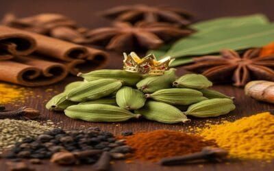 ஏலக்காய்: மசாலா பொருட்களின் ராணி